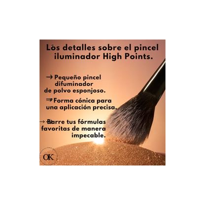 BROCHAS ELF